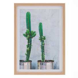 CUADRO IMPRESIÓN CACTUS 2/M DECORACIÓN 49 X 2 X 69 CM