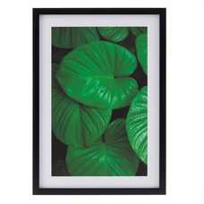 CUADRO IMPRESIÓN HOJAS 2/M DECORACIÓN 49 X 2 X 69 CM