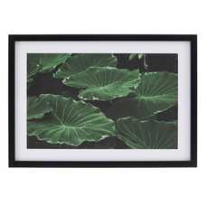 CUADRO IMPRESIÓN HOJAS 2/M DECORACIÓN 49 X 2 X 69 CM