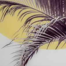 CUADRO IMPRESIÓN HOJAS PALMERA LIENZO 100 X 2,50 X 100 CM