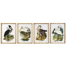 CUADRO CRISTAL BAMBU 45X3X60 AVE ENMARCADO 4 SURT.