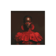 CUADRO CRISTAL TEMPLADO 120X0,4X120 MUJER ROJO