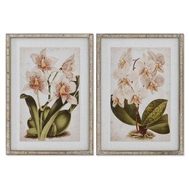 CUADRO CRISTAL RATAN 50X2X70 ORQU DEA 2 SURT.