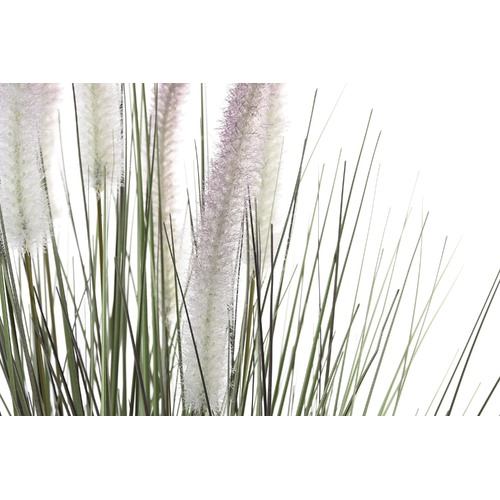 PLANTA PVC 20X20X68 COLA DE PERRO LILA