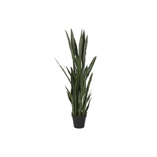 PLANTA PE PP 40X40X150 SANSEVIERIA VERDE