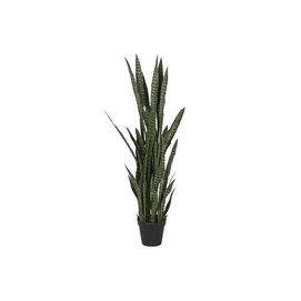PLANTA PE PP 40X40X150 SANSEVIERIA VERDE