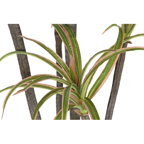 PLANTA PE PP 82X86X218 VERDE