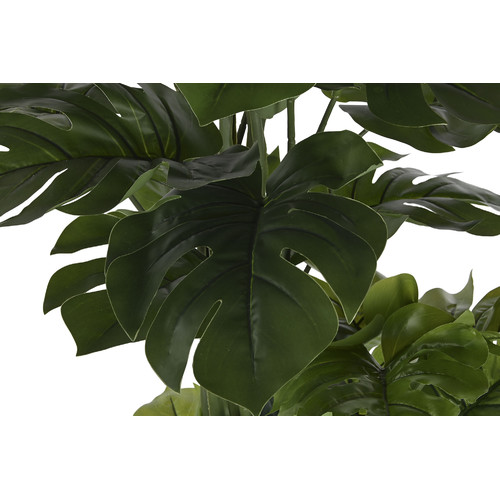 PLANTA PE PP 88X76X174 MONSTERA VERDE