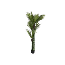 PLANTA PE CEMENTO 100X100X235 PALMERA VERDE