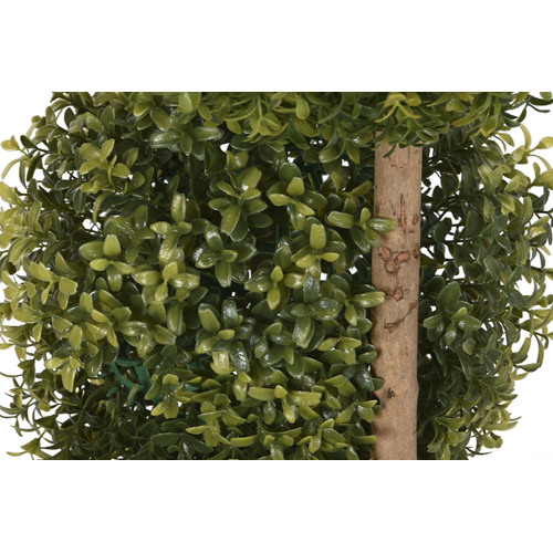 PLANTA PE CEMENTO 60X60X125 VERDE