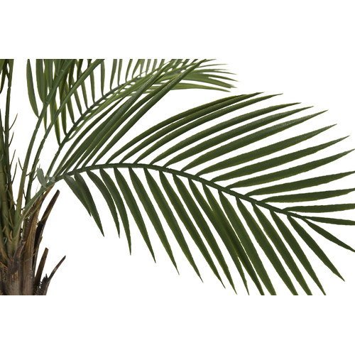 PLANTA PE PP 80X80X120 12 HOJAS PALMERA KWAI VERDE
