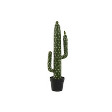 PLANTA FOAM PP 21X16X70 CACTUS VERDE