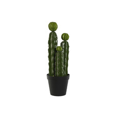 PLANTA FOAM PP 22X22X69 CACTUS VERDE