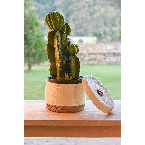 PLANTA FOAM PP 19X18X47 CACTUS VERDE