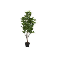 PLANTA PE 50X50X120 SCHEFFLERA VERDE PLANTA PE 50X50X120 SCHEFFLERA VERDE