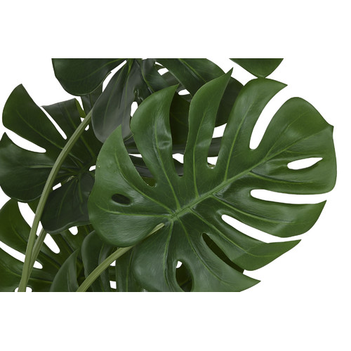 PLANTA PE PP 90X80X130 MONSTERA VERDE