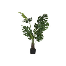 PLANTA PE PP 90X80X130 MONSTERA VERDE