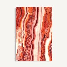 LÁMINA ASTANXATINA LÁMINA ASTANXATINA