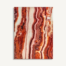 LÁMINA ASTANXATINA LÁMINA ASTANXATINA