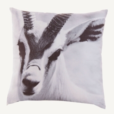 COJÍN CABRA COJÍN CABRA