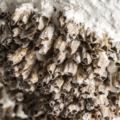 LÁMPARA DE SOBREMESA THORA