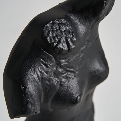BUSTO MESSIER