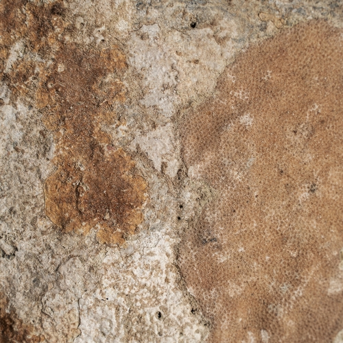 FIGURA DECORATIVA CHEDMA