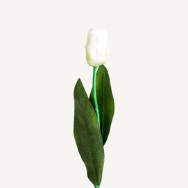 FLOR TULIPAN