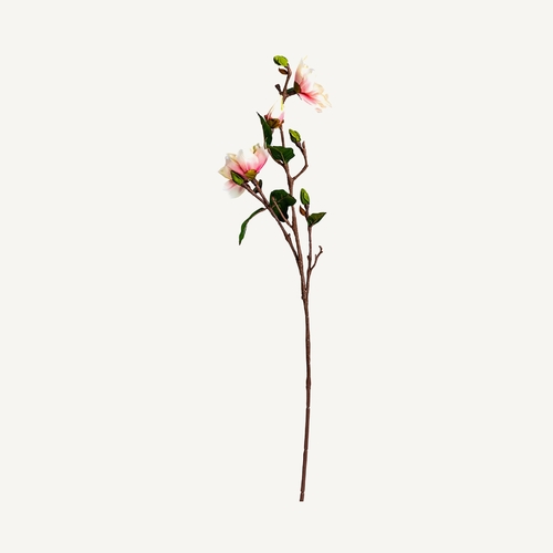 FLOR YULAN