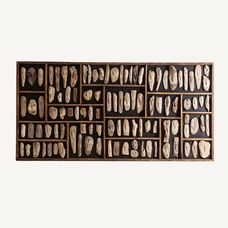 PANEL DECORATIVO FÓSILES