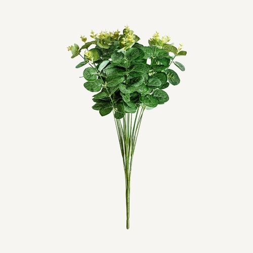 PLANTA EUCALIPTO