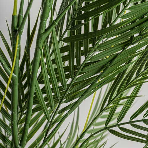 PLANTA HELECHO