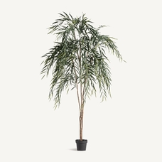 PLANTA SAUCE PLANTA SAUCE