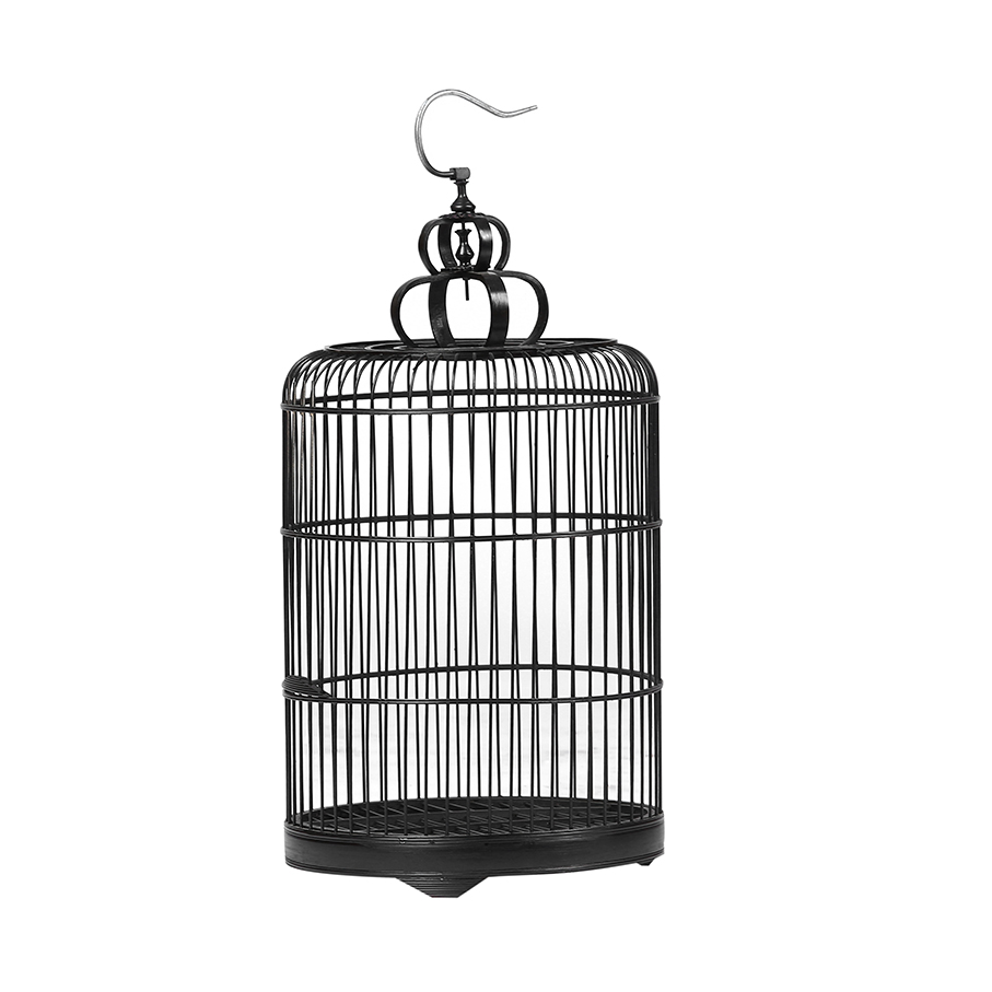 Birdcage DT092