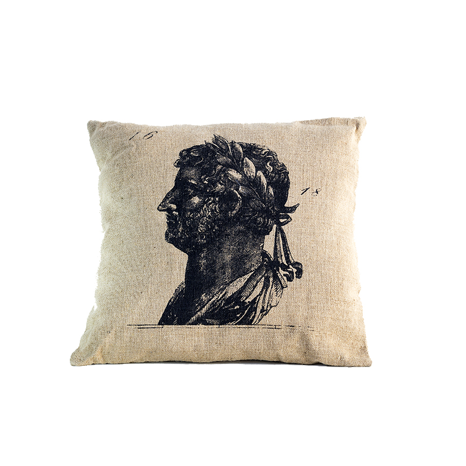 Cushion with Cesar painting H041