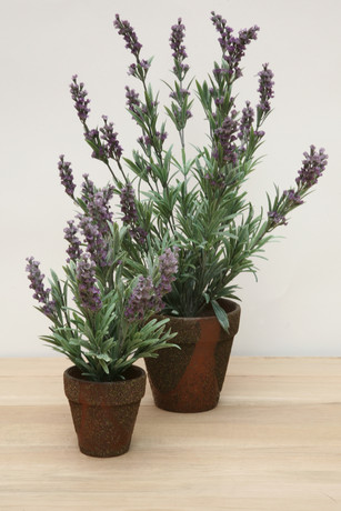 MACETA LAVANDA GR.