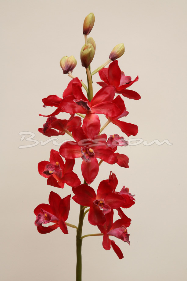 RAMA ORQUIDEA C/FUCSIA