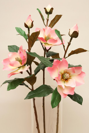 RAMA MAGNOLIA C/ROSA