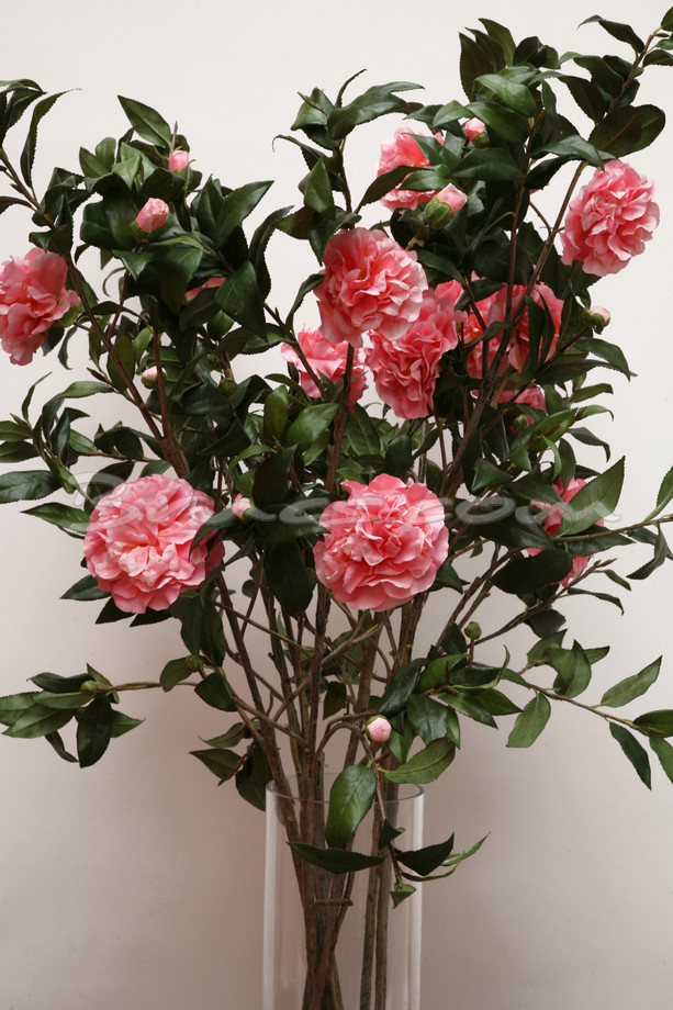 RAMA CAMELIA C/ROSA