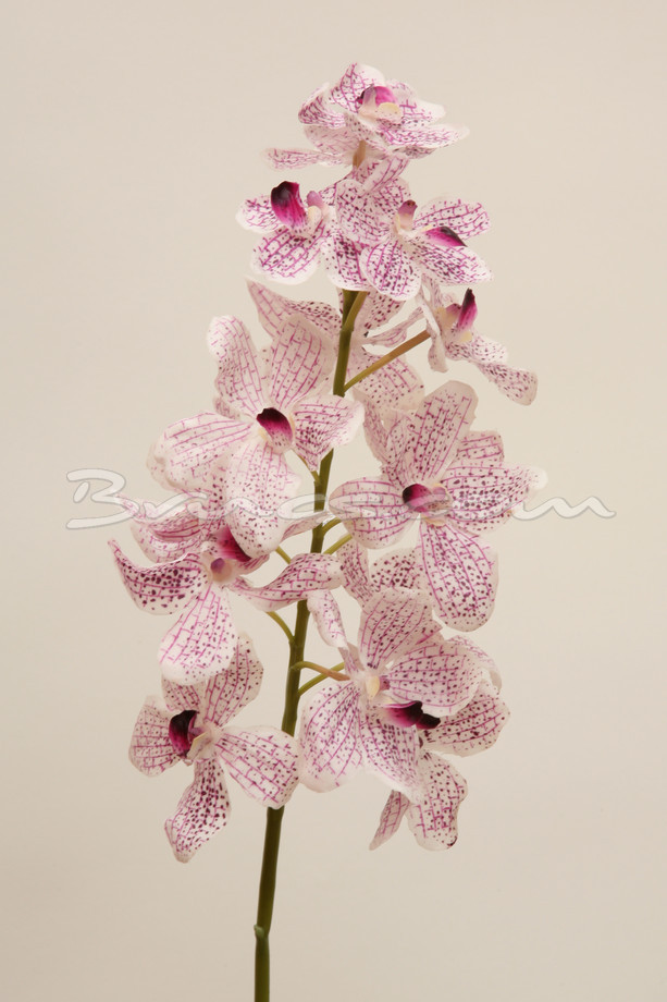 RAMA ORQUIDEA C/VIOLETA