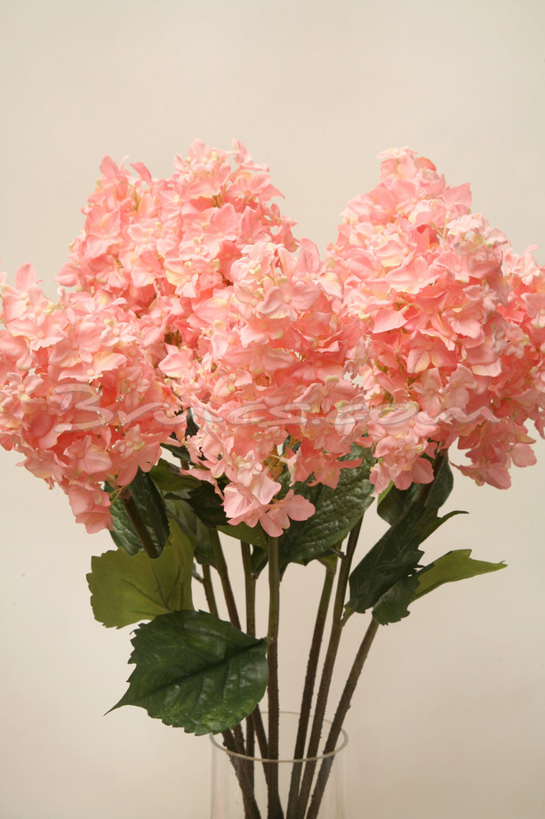 RAMA HORTENSIA CÓNICA ROSA