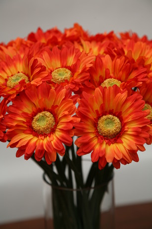 RAMA GERBERA PQ. NARANJA