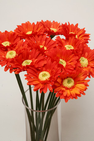 RAMA GERBERA PEQ. C/NARANJA OSCURO