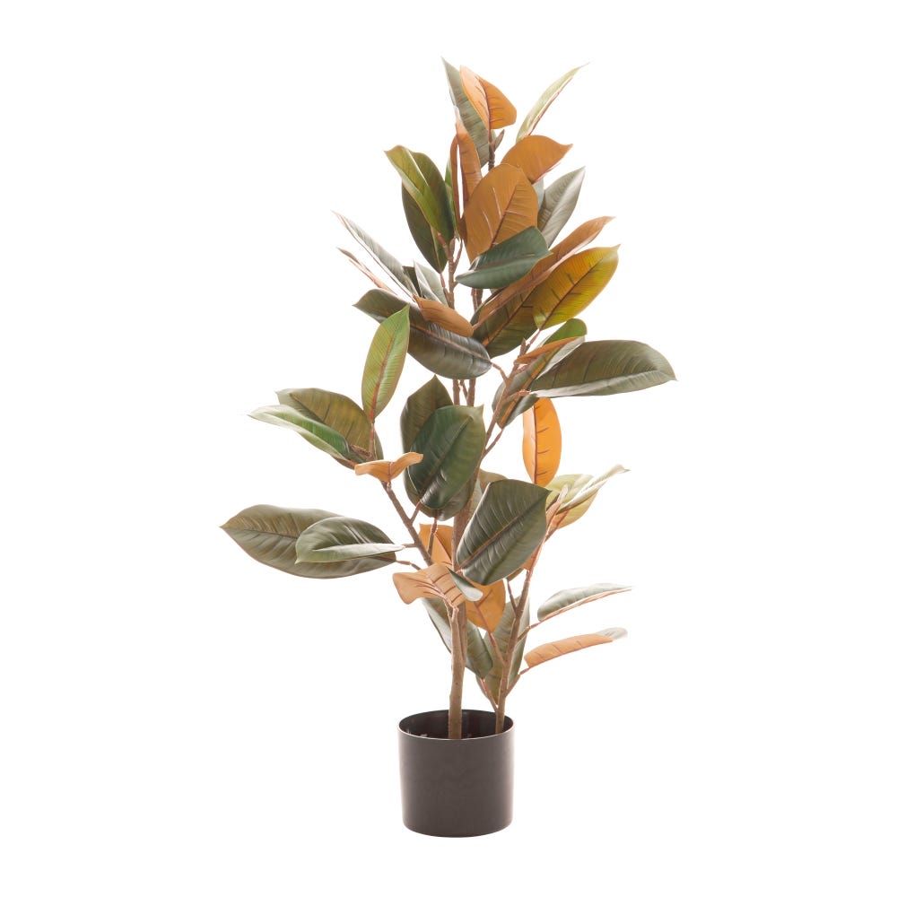 PLANTA FICUS VERDE OSCURO 36 X 37 X 90 CM