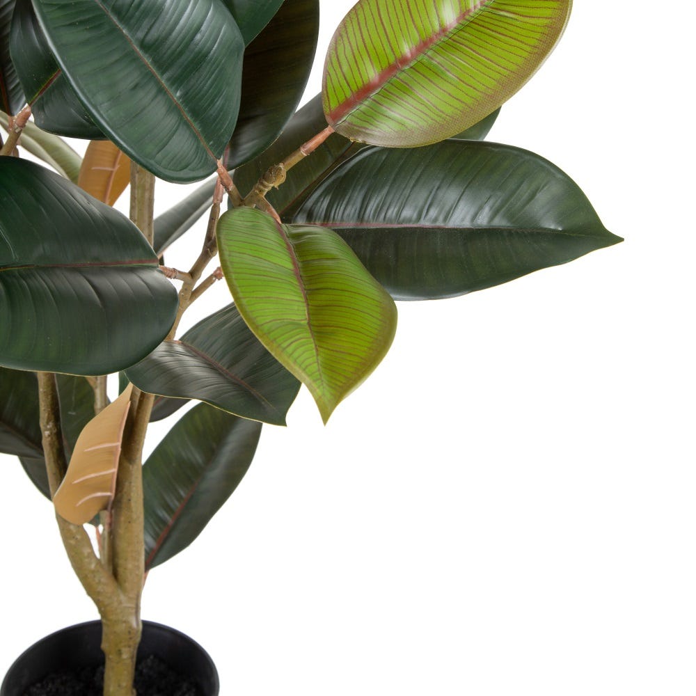 PLANTA FICUS VERDE OSCURO 49 X 45 X 125 CM