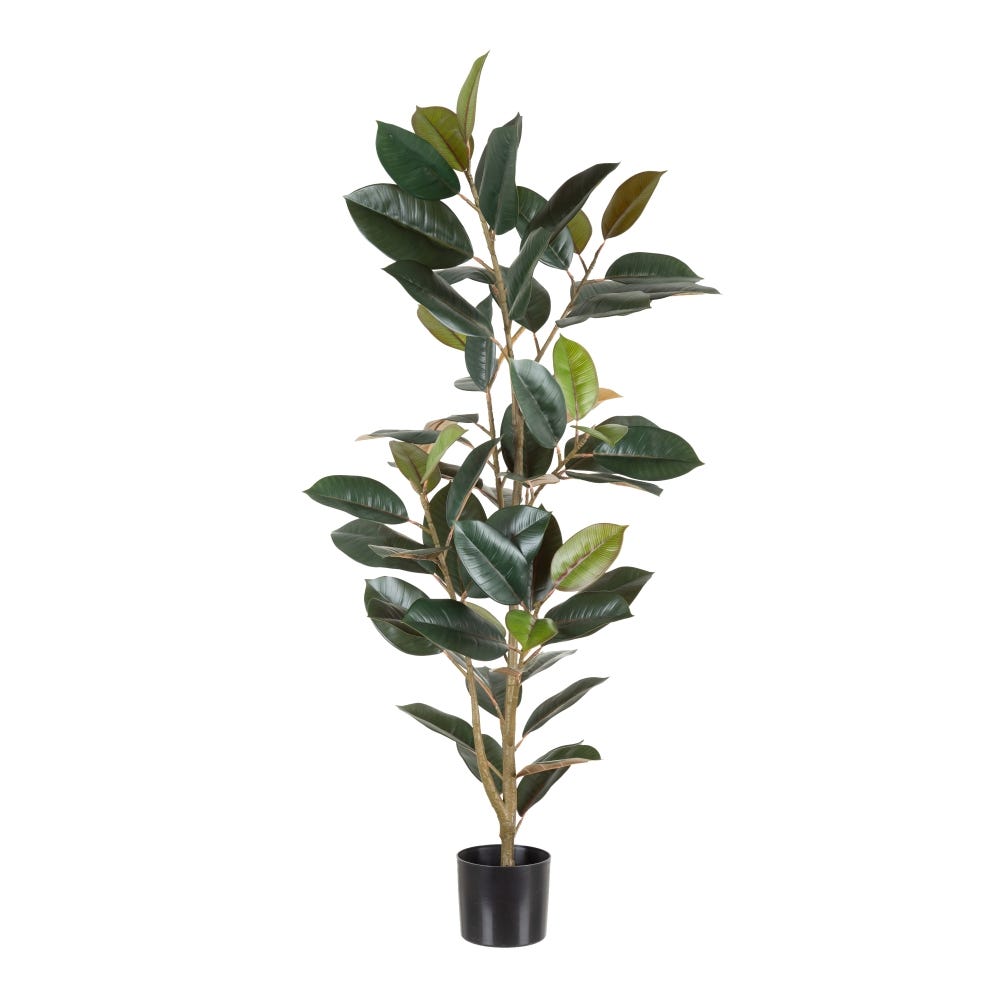 PLANTA FICUS VERDE OSCURO 49 X 45 X 125 CM