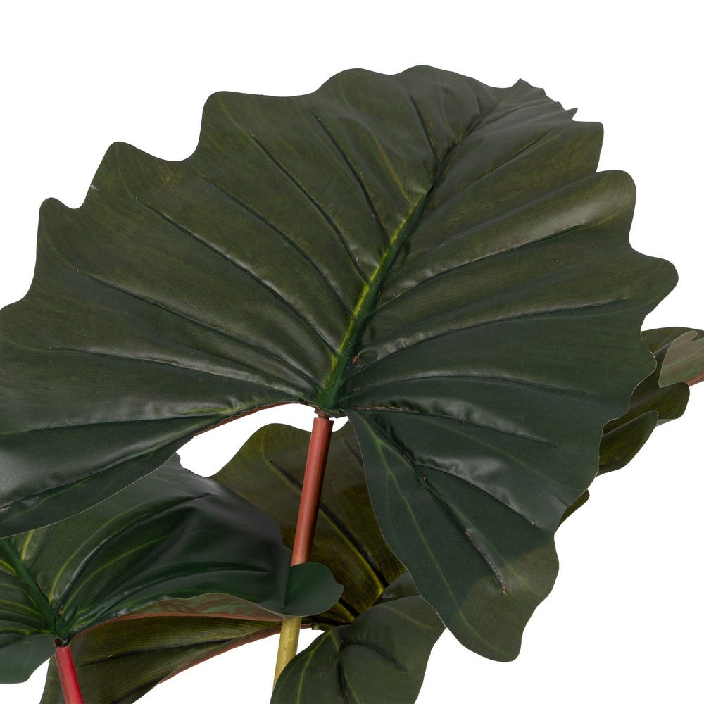 PLANTA COLOCASIA VERDE POLIETILENO 165 CM