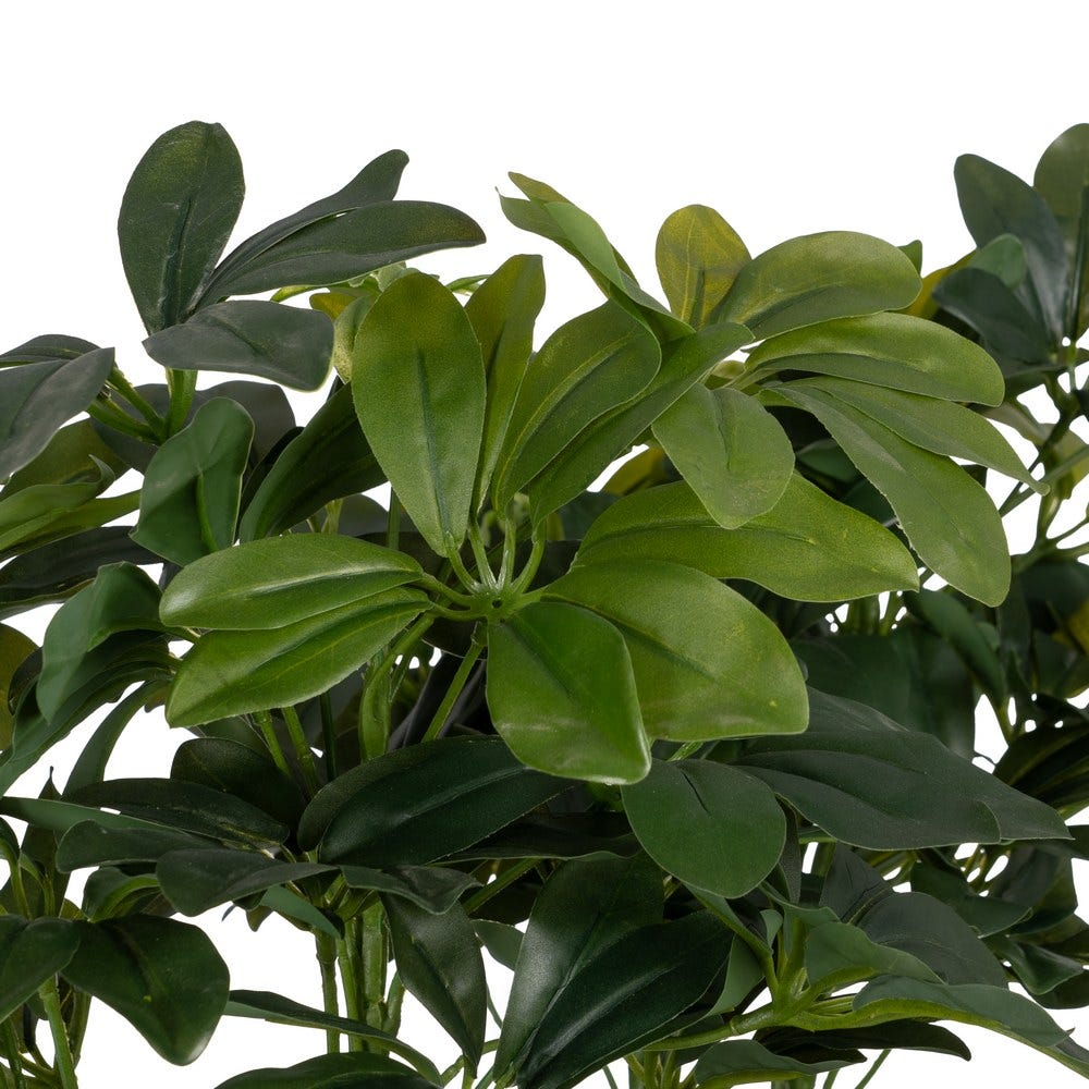 PLANTA SCHEFFLERA VERDE POLIETILENO 145 CM