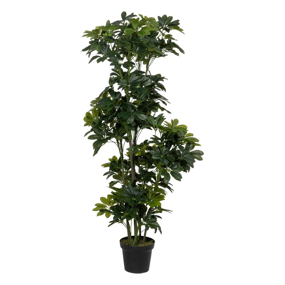 PLANTA SCHEFFLERA VERDE POLIETILENO 145 CM