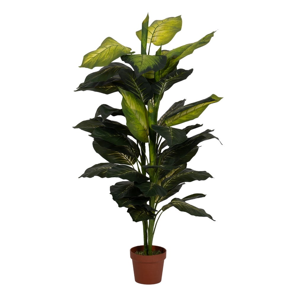 PLANTA DIEFEMBAQUIA VERDE POLIETILENO 135 CM